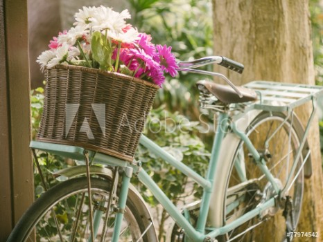 Picture of Vintage bicycle with flowers in front basket